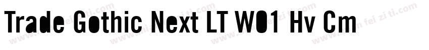 Trade Gothic Next LT W01 Hv Cm字体转换